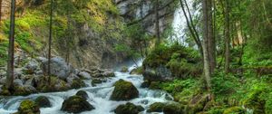 Preview wallpaper forest, waterfall, river, rocks, landscape