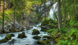 Preview wallpaper forest, waterfall, river, rocks, landscape