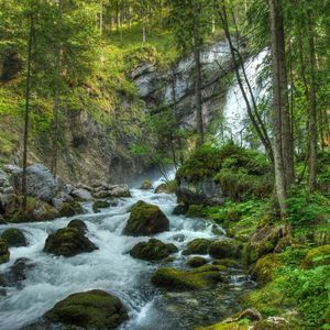 Preview wallpaper forest, waterfall, river, rocks, landscape