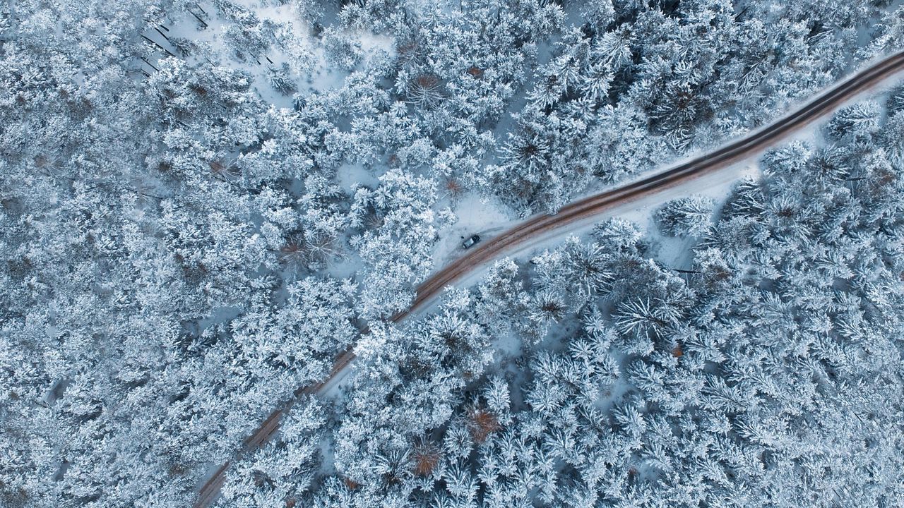 Wallpaper forest, winter, aerial view, snow, snowy, trees