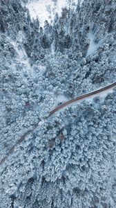 Preview wallpaper forest, winter, aerial view, snow, snowy, trees
