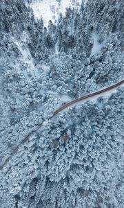 Preview wallpaper forest, winter, aerial view, snow, snowy, trees