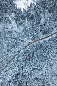 Preview wallpaper forest, winter, aerial view, snow, snowy, trees