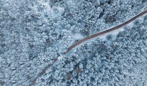 Preview wallpaper forest, winter, aerial view, snow, snowy, trees