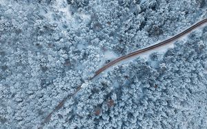 Preview wallpaper forest, winter, aerial view, snow, snowy, trees