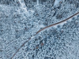 Preview wallpaper forest, winter, aerial view, snow, snowy, trees