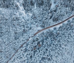 Preview wallpaper forest, winter, aerial view, snow, snowy, trees