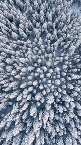 Preview wallpaper forest, winter, aerial view, trees, snow