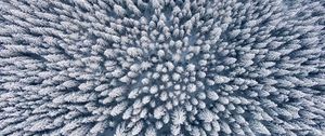 Preview wallpaper forest, winter, aerial view, trees, snow