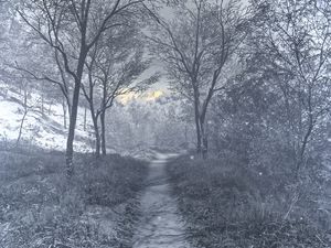 Preview wallpaper forest, winter, art, stream, hoarfrost