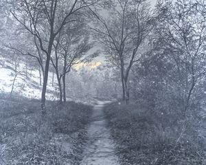 Preview wallpaper forest, winter, art, stream, hoarfrost