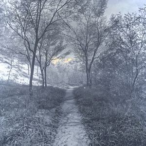 Preview wallpaper forest, winter, art, stream, hoarfrost
