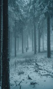 Preview wallpaper forest, winter, fog, snow, people, silhouettes