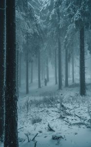 Preview wallpaper forest, winter, fog, snow, people, silhouettes