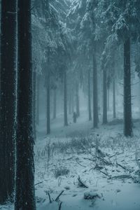 Preview wallpaper forest, winter, fog, snow, people, silhouettes
