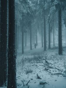 Preview wallpaper forest, winter, fog, snow, people, silhouettes