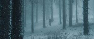 Preview wallpaper forest, winter, fog, snow, people, silhouettes