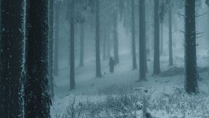 Preview wallpaper forest, winter, fog, snow, people, silhouettes