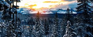 Preview wallpaper forest, winter, mountains, snow