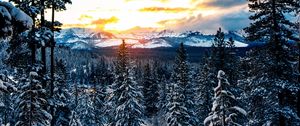 Preview wallpaper forest, winter, mountains, snow