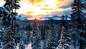 Preview wallpaper forest, winter, mountains, snow