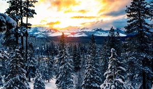 Preview wallpaper forest, winter, mountains, snow