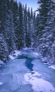 Preview wallpaper forest, winter, river, snow, ice, trees