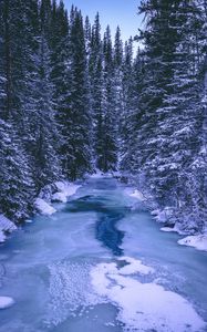 Preview wallpaper forest, winter, river, snow, ice, trees