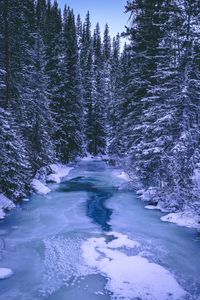 Preview wallpaper forest, winter, river, snow, ice, trees