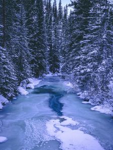 Preview wallpaper forest, winter, river, snow, ice, trees