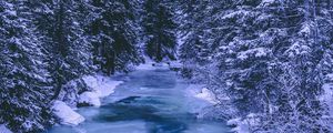Preview wallpaper forest, winter, river, snow, ice, trees