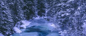 Preview wallpaper forest, winter, river, snow, ice, trees