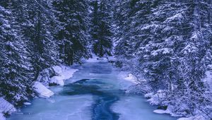 Preview wallpaper forest, winter, river, snow, ice, trees