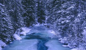 Preview wallpaper forest, winter, river, snow, ice, trees