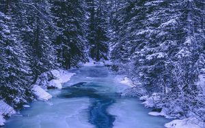 Preview wallpaper forest, winter, river, snow, ice, trees