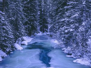 Preview wallpaper forest, winter, river, snow, ice, trees