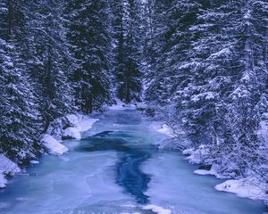 Preview wallpaper forest, winter, river, snow, ice, trees