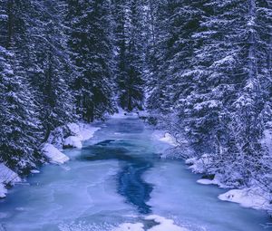 Preview wallpaper forest, winter, river, snow, ice, trees