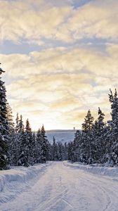 Preview wallpaper forest, winter, road, spruces, clouds, nature