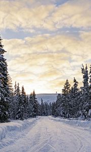 Preview wallpaper forest, winter, road, spruces, clouds, nature