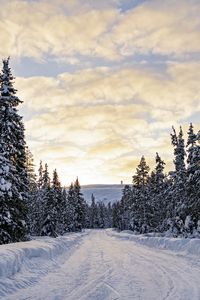 Preview wallpaper forest, winter, road, spruces, clouds, nature