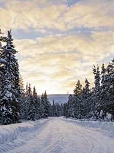 Preview wallpaper forest, winter, road, spruces, clouds, nature