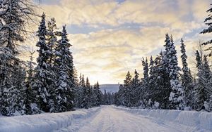 Preview wallpaper forest, winter, road, spruces, clouds, nature
