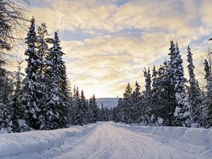 Preview wallpaper forest, winter, road, spruces, clouds, nature