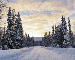 Preview wallpaper forest, winter, road, spruces, clouds, nature