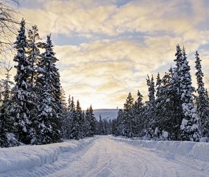 Preview wallpaper forest, winter, road, spruces, clouds, nature