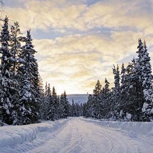 Preview wallpaper forest, winter, road, spruces, clouds, nature