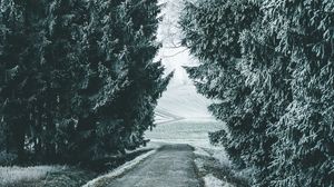 Preview wallpaper forest, winter, snow, trees, road, snowy