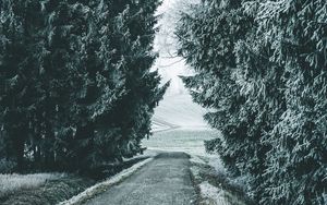 Preview wallpaper forest, winter, snow, trees, road, snowy