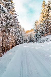 Preview wallpaper forest, winter, snow, road, sky, nature, winter landscape